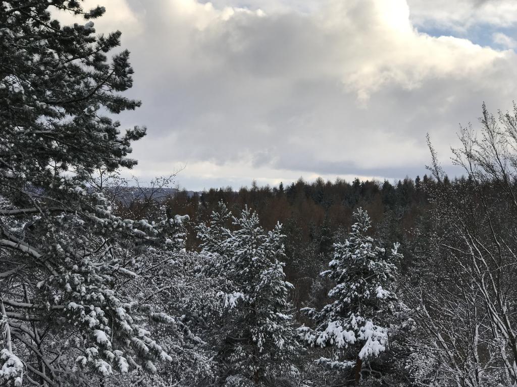 Villa Augustusberg Petrovice  Dış mekan fotoğraf