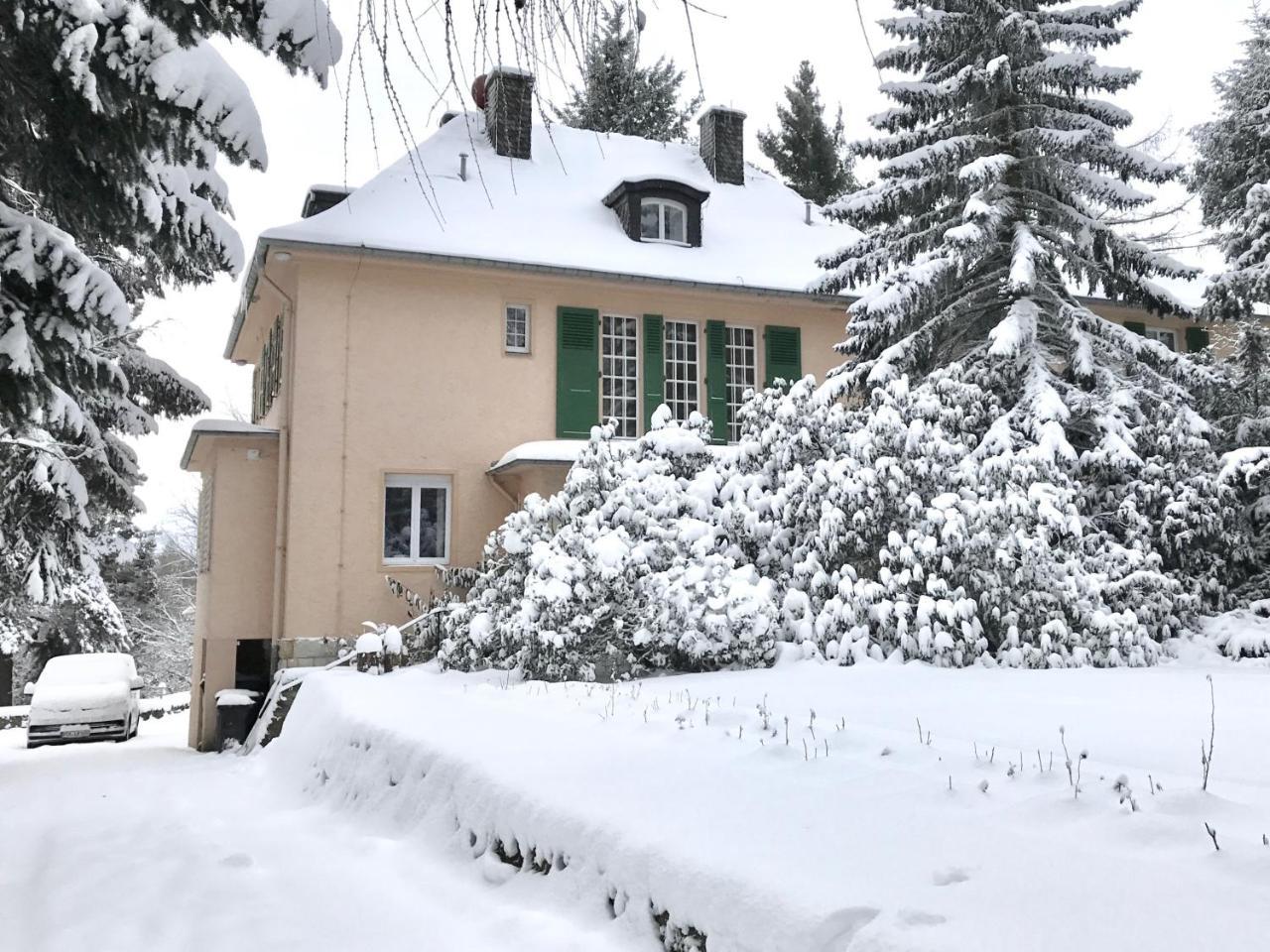 Villa Augustusberg Petrovice  Dış mekan fotoğraf